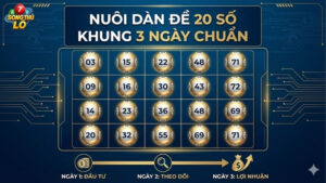 nuoi-dan-de-20-so-khung-3-ngay-chuan